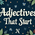 Adjectives that start with n